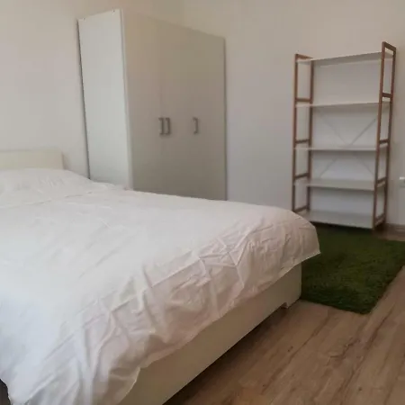 Ama Timisoara