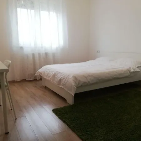 Ama * Timisoara