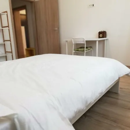 Ama Apartment Timisoara