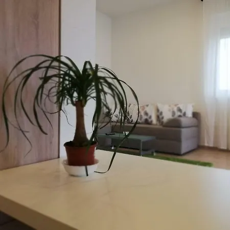 Ama Apartament
